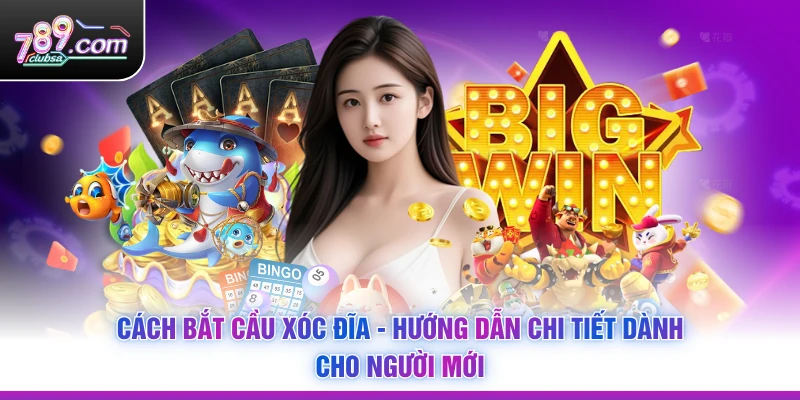 Cách Bắt Cầu Xóc Đĩa - Hướng Dẫn Chi Tiết Dành Cho Người Mới