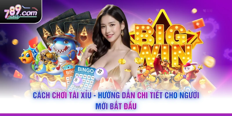 Cách Chơi Tài Xỉu - Hướng Dẫn Chi Tiết Cho Người Mới Bắt Đầu
