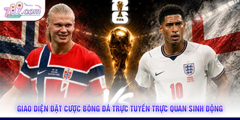 Giao diện đặt cược bóng đá trực tuyến trực quan sinh động